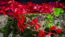 Desktop wallpaper. Nature. ID:163530