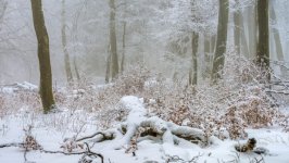 Desktop wallpaper. Nature. ID:163610