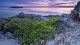 Desktop wallpaper. Nature. ID:163811