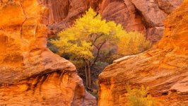Desktop wallpaper. Nature. ID:163817