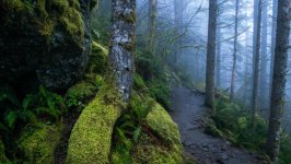 Desktop wallpaper. Nature. ID:163848