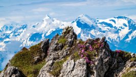 Desktop wallpaper. Nature. ID:163863