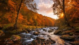 Desktop wallpaper. Nature. ID:163881