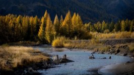 Desktop wallpaper. Nature. ID:163985