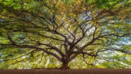 Desktop wallpaper. Nature. ID:163996