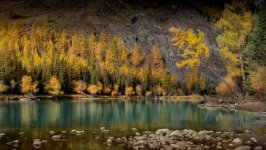 Desktop wallpaper. Nature. ID:164001