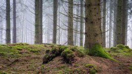 Desktop wallpaper. Nature. ID:164196