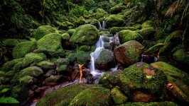 Desktop wallpaper. Nature. ID:164652