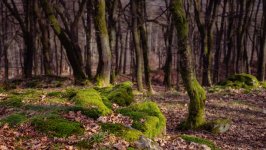 Desktop wallpaper. Nature. ID:164684