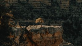 Desktop wallpaper. Nature. ID:164959