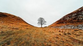 Desktop wallpaper. Nature. ID:164960