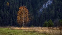 Desktop wallpaper. Nature. ID:165144