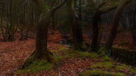 Desktop wallpaper. Nature. ID:165611