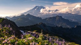 Desktop image. Nature. ID:166106