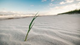 Desktop wallpaper. Nature. ID:166148