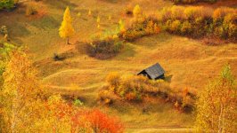 Desktop image. Nature. ID:166277