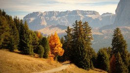 Desktop wallpaper. Nature. ID:166795