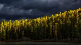 Desktop wallpaper. Nature. ID:166797