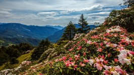 Desktop wallpaper. Nature. ID:166798