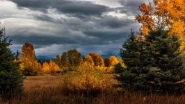 Desktop wallpaper. Nature. ID:166841