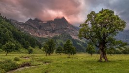 Desktop wallpaper. Nature. ID:166886