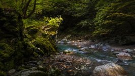 Desktop wallpaper. Nature. ID:166888