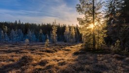 Desktop wallpaper. Nature. ID:166940