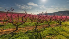 Desktop wallpaper. Nature. ID:166941