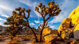 Desktop wallpaper. Nature. ID:166951