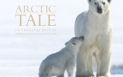 Desktop wallpaper. Arctic Tale. ID:38727