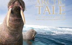 Desktop wallpaper. Arctic Tale. ID:38728