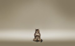 Desktop wallpaper. Cats. ID:42317