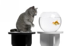 Desktop wallpaper. Cats. ID:42589