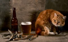 Desktop wallpaper. Cats. ID:42661