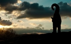 Desktop image. Cats. ID:54189