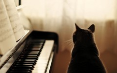 Desktop wallpaper. Cats. ID:55366