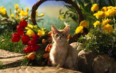 Desktop wallpaper. Cats. ID:56200