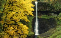 Desktop wallpaper. Waterfalls. ID:42697