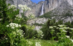 Desktop wallpaper. Waterfalls. ID:42711