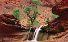 Desktop wallpaper. Waterfalls. ID:42754
