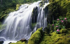 Desktop wallpaper. Waterfalls. ID:42778