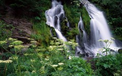 Desktop wallpaper. Waterfalls. ID:42782