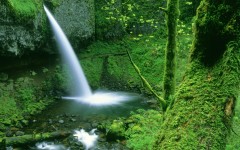 Desktop wallpaper. Waterfalls. ID:42803