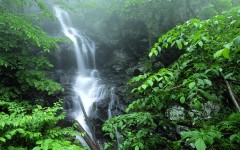 Desktop wallpaper. Waterfalls. ID:42830