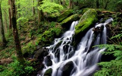 Desktop wallpaper. Waterfalls. ID:42834