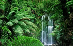 Desktop wallpaper. Waterfalls. ID:42839