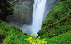 Desktop wallpaper. Waterfalls. ID:42847