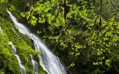 Desktop wallpaper. Waterfalls. ID:42860
