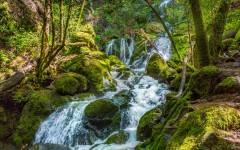 Desktop wallpaper. Waterfalls. ID:52802