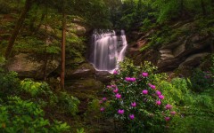 Desktop wallpaper. Waterfalls. ID:82280